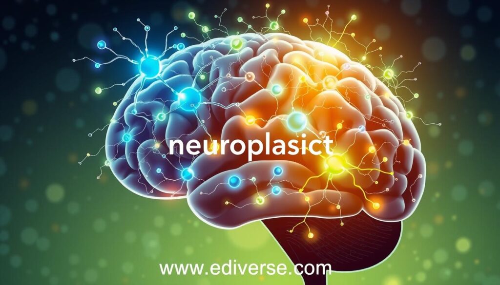 neuroplasticity, cognitive enhancement