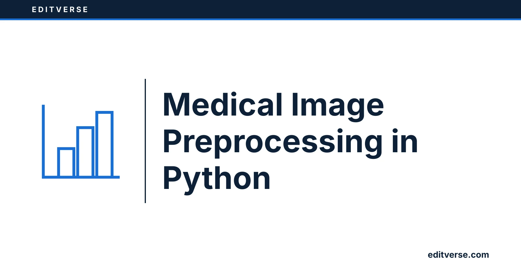 Editverse&nbsp;: Prétraitement d’images médicales en Python