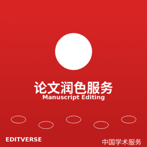 China - 论文润色服务