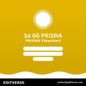 Vietnam – Tạo Sơ Đồ PRISMA — Editverse · Vietnam - Dịch Vụ Đặc Biệt