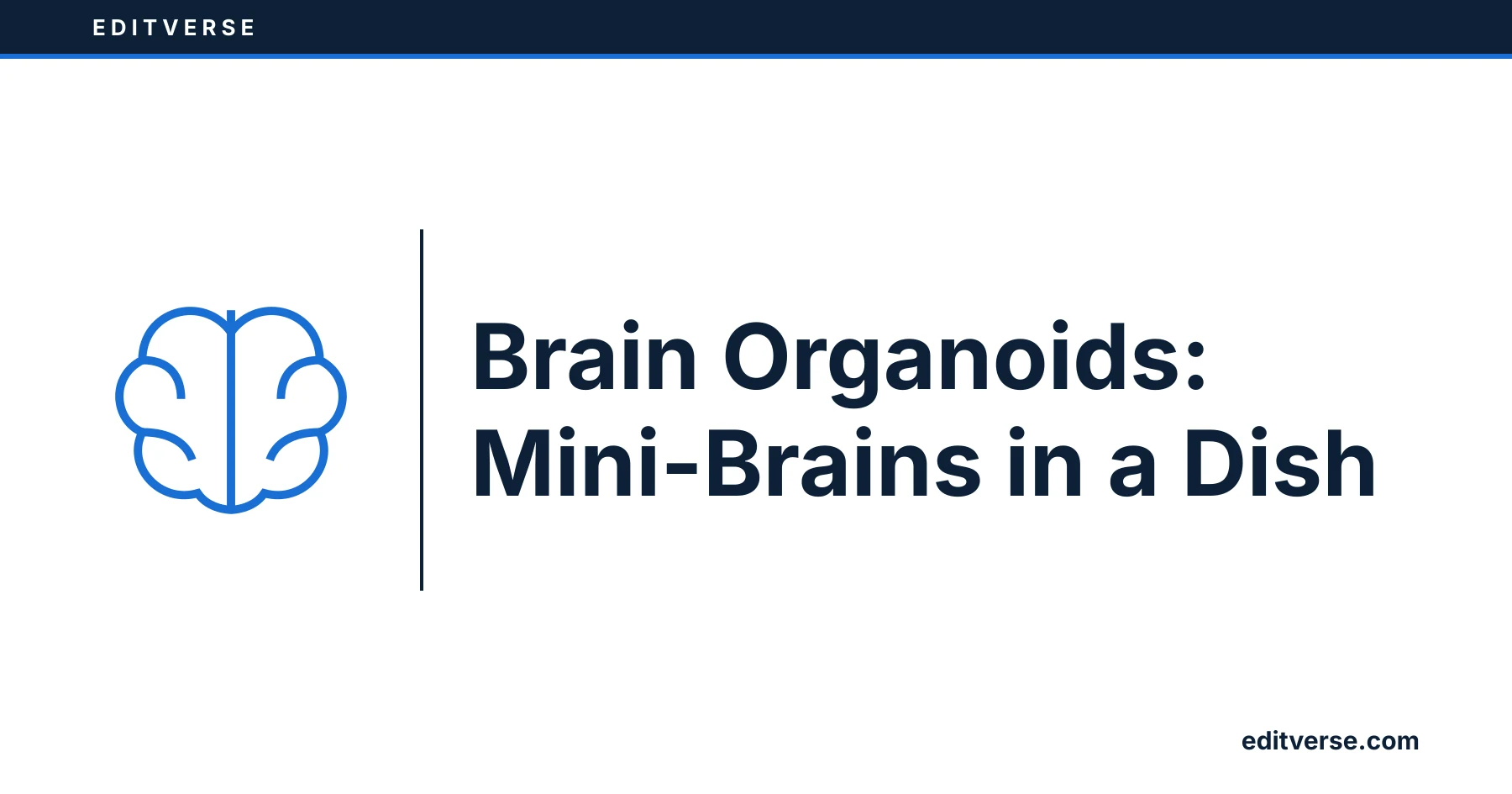 Editverse: Brain Organoids: Mini-Brains in a Dish