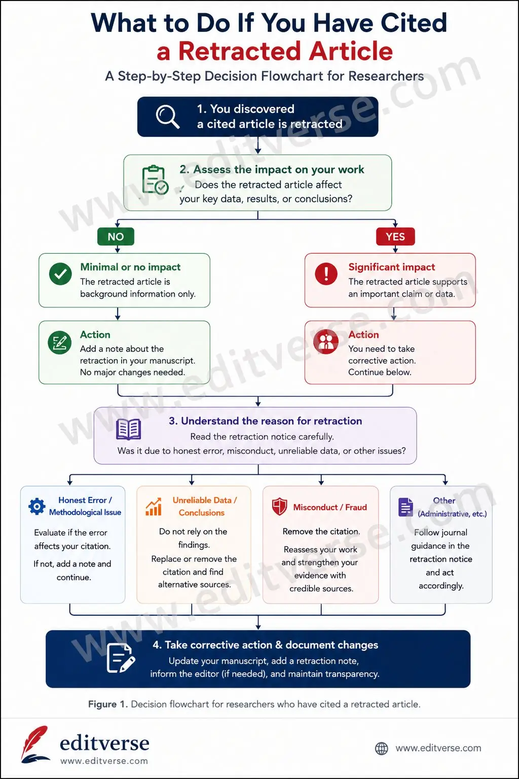 Decision flowchart for researchers who have cited a retracted article — step by step guide showing how to assess impact, understand retraction reason, and take corrective action including updating manuscript, notifying editor, and maintaining transparency — Editverse 2026