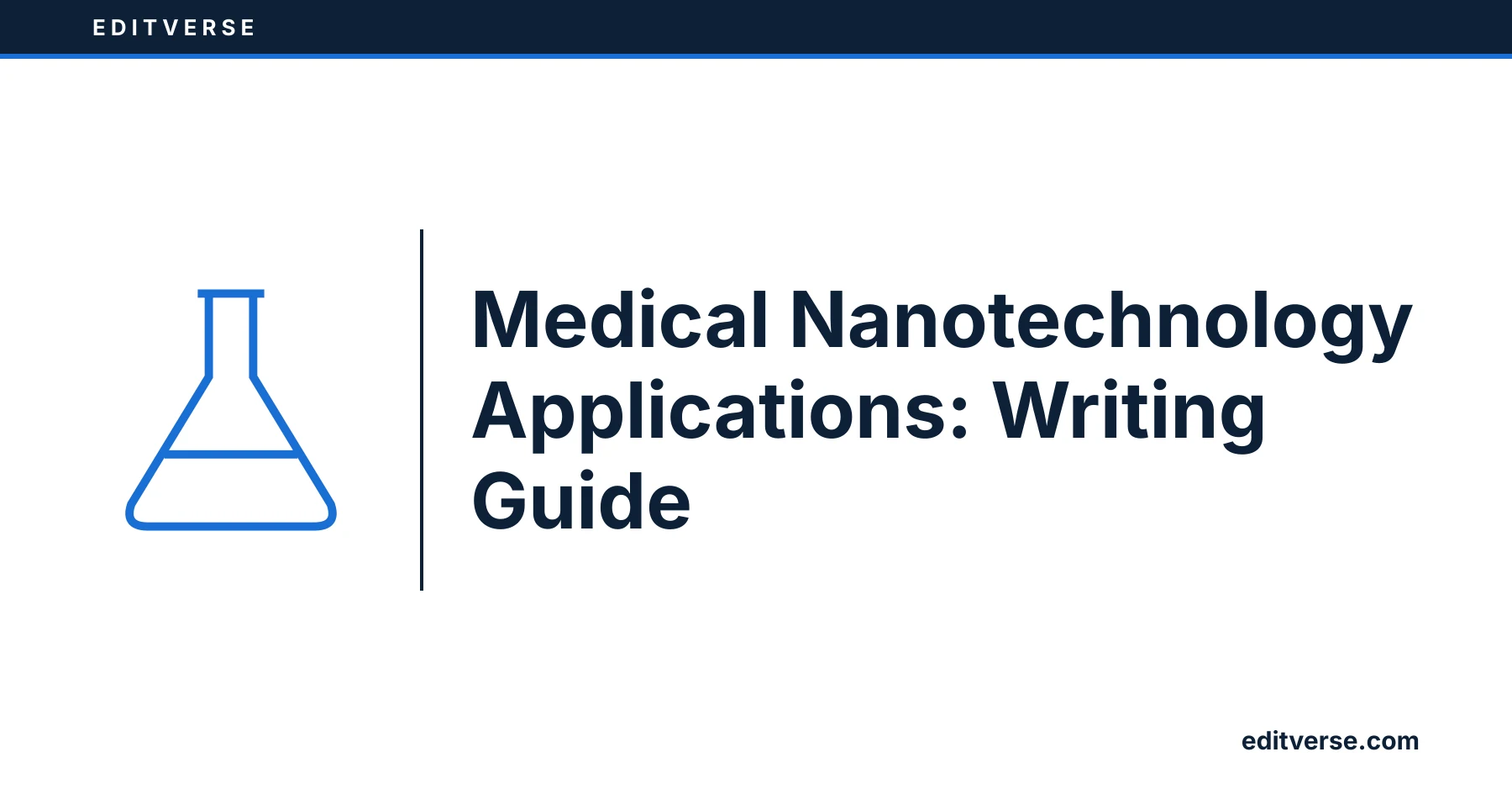 Editverse: Medical Nanotechnology Applications: Writing Guide