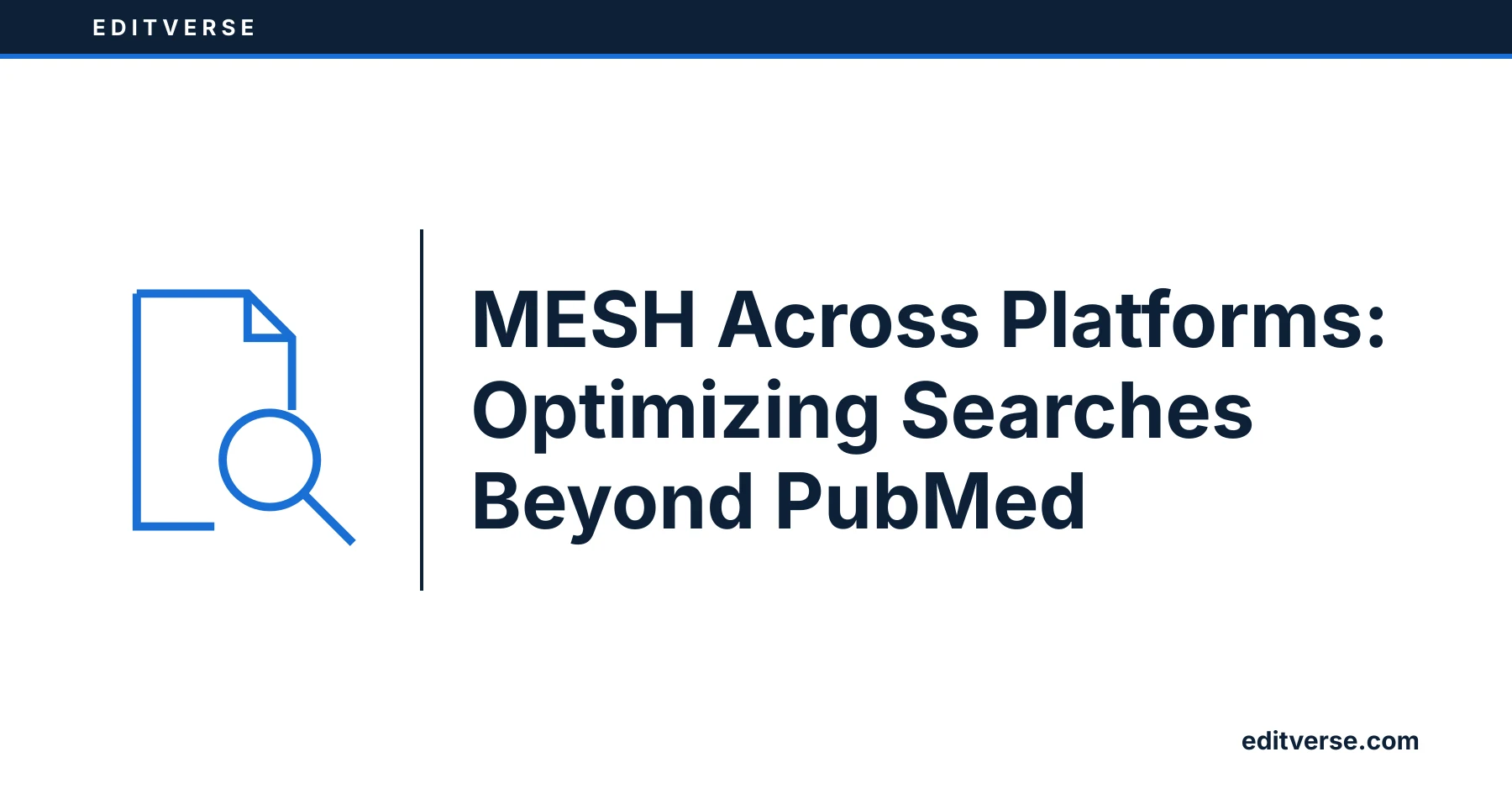 Editverse: MESH Across Platforms