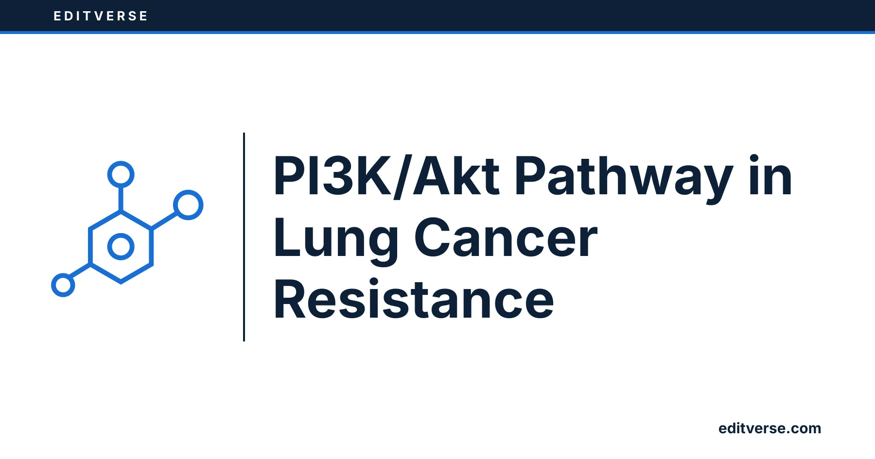 Editverse: PI3K/Akt Pathway in Lung Cancer Resistance