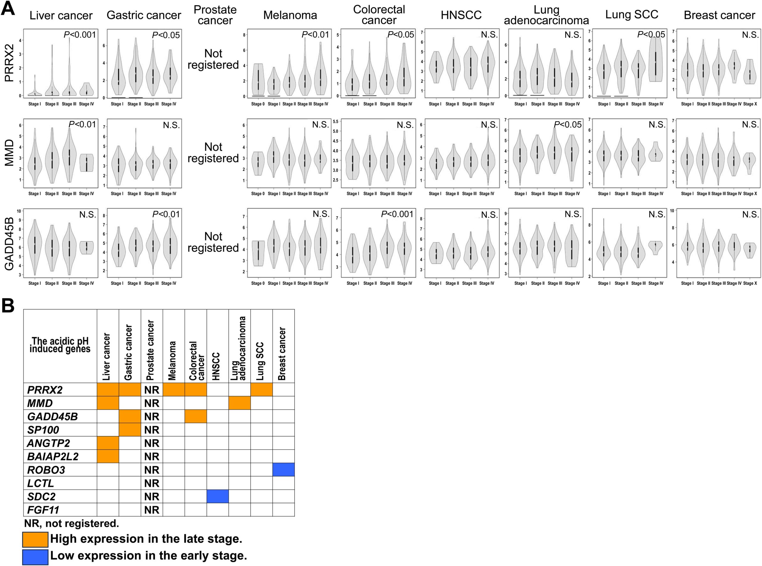 Violin plots comparing gene expression between groups